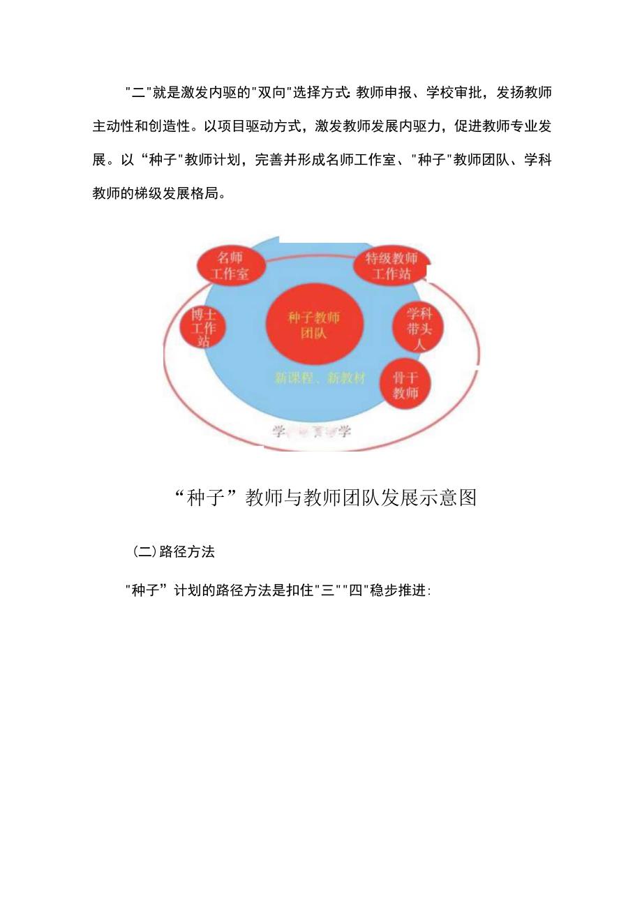 实施“种子”计划在“双新”推进中实现学校高质量发展.docx_第2页