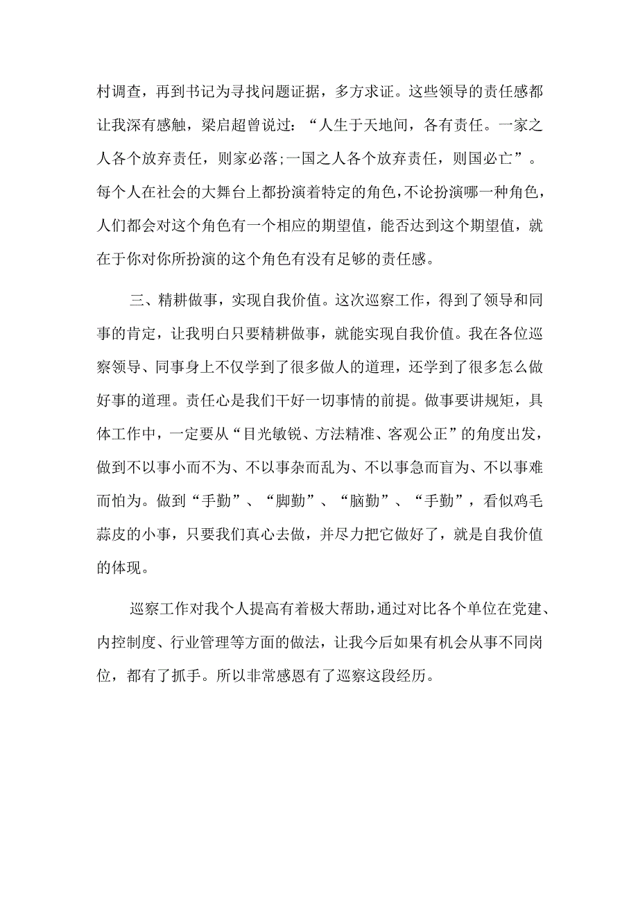 巡察工作鉴定表个人总结九篇.docx_第2页