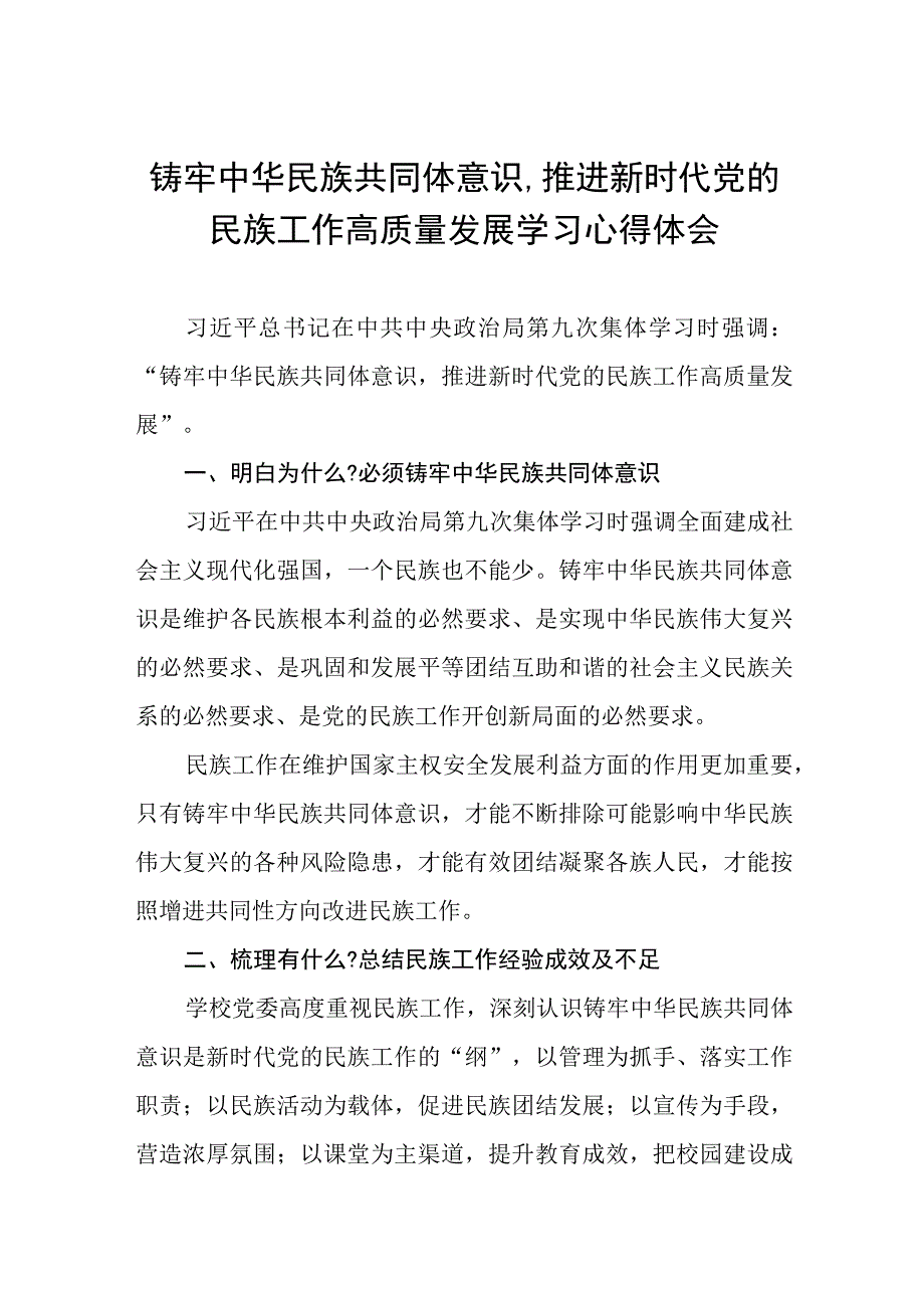 学习《铸牢中华民族共同体意识,推进新时代党的民族工作高质量发展》研讨发言材料九篇.docx_第1页