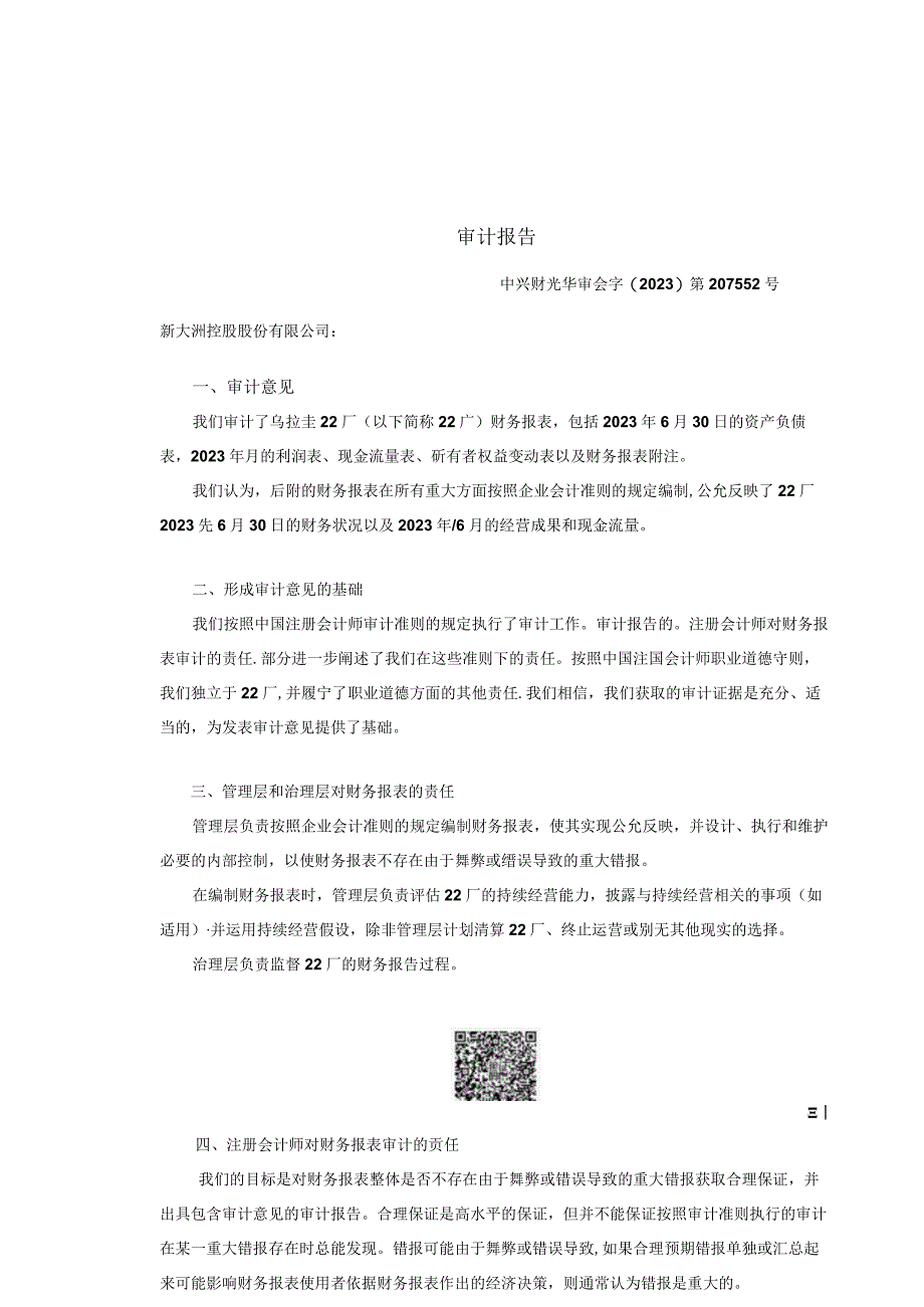 新大洲A：乌拉圭22厂审计报告.docx_第3页