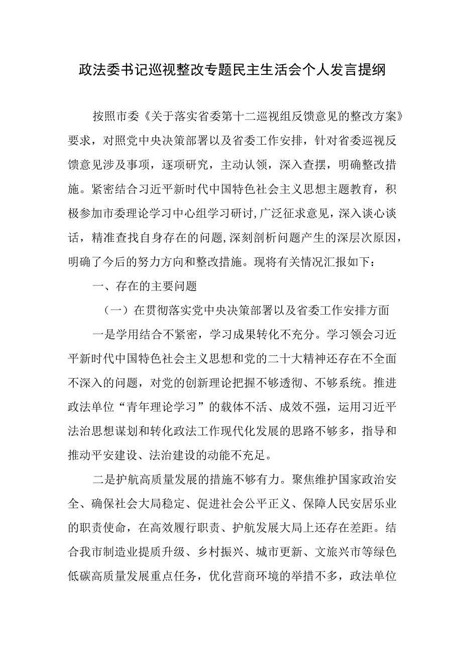 政法委书记巡视整改专题民主生活会个人发言提纲.docx_第1页