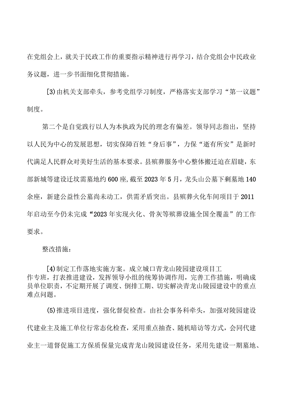 县民政局党组落实县委第一巡察组巡察反馈意见整改工作实施方案.docx_第3页