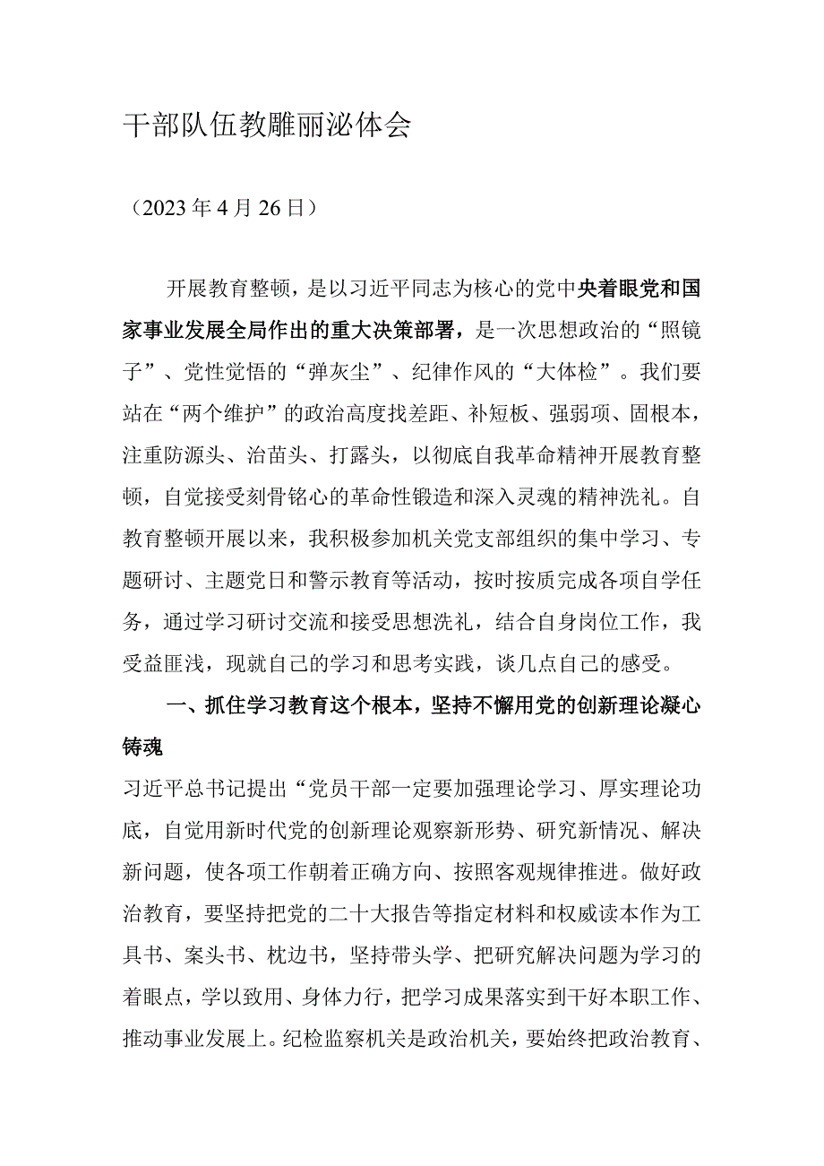 干部队伍教育整顿心得体会2023年.docx_第1页