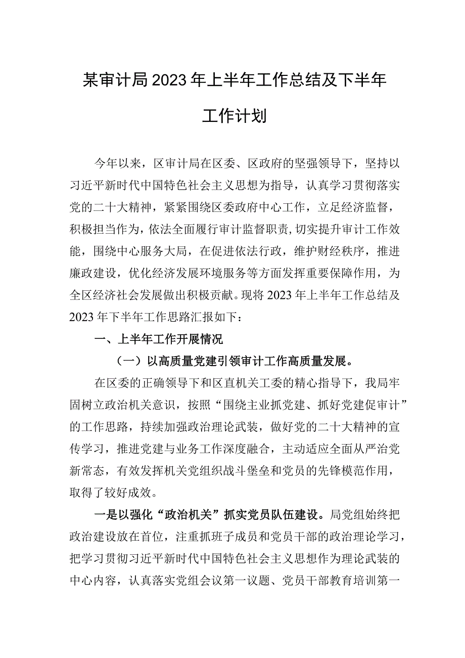 某审计局2023年上半年工作总结及下半年工作计划.docx_第1页