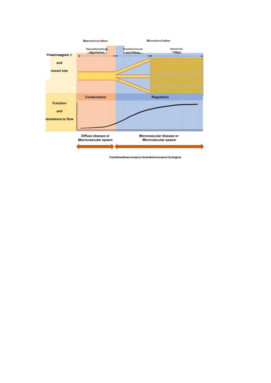 缺血伴非阻塞性冠脉疾病INOCA的概念、评估和治疗解读2024.docx_第3页