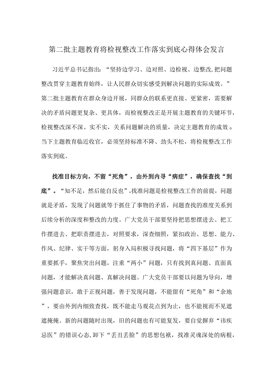 第二批主题教育将检视整改工作落实到底心得体会发言.docx_第1页