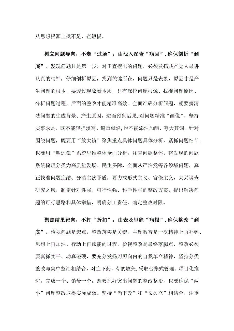 第二批主题教育将检视整改工作落实到底心得体会发言.docx_第2页