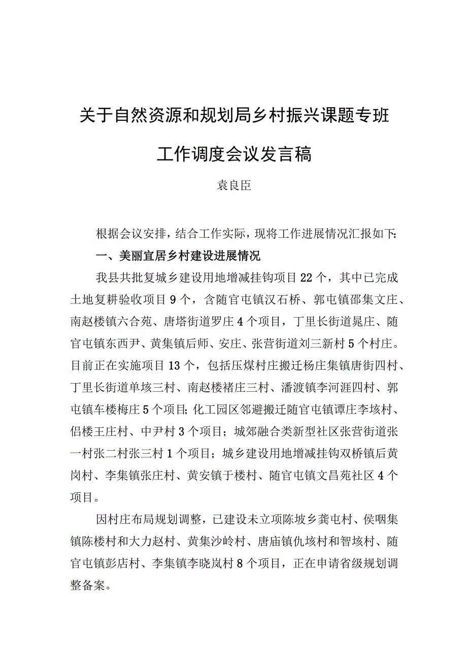 袁良臣：关于自然资源和规划局乡村振兴课题专班工作调度会议发言稿【笔尖耕耘】.docx_第1页