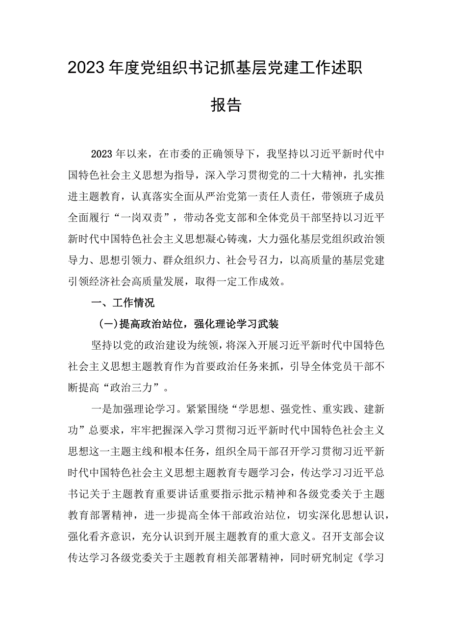 2023年度党组织书记抓基层党建工作述职报告.docx_第1页