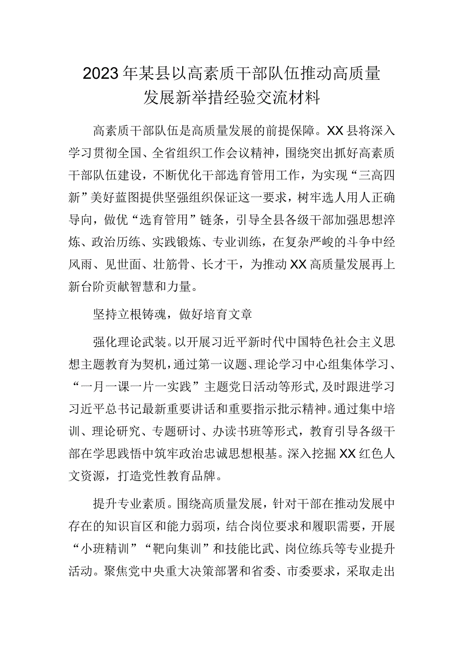 2023年某县以高素质干部队伍推动高质量发展新举措经验交流材料.docx_第1页