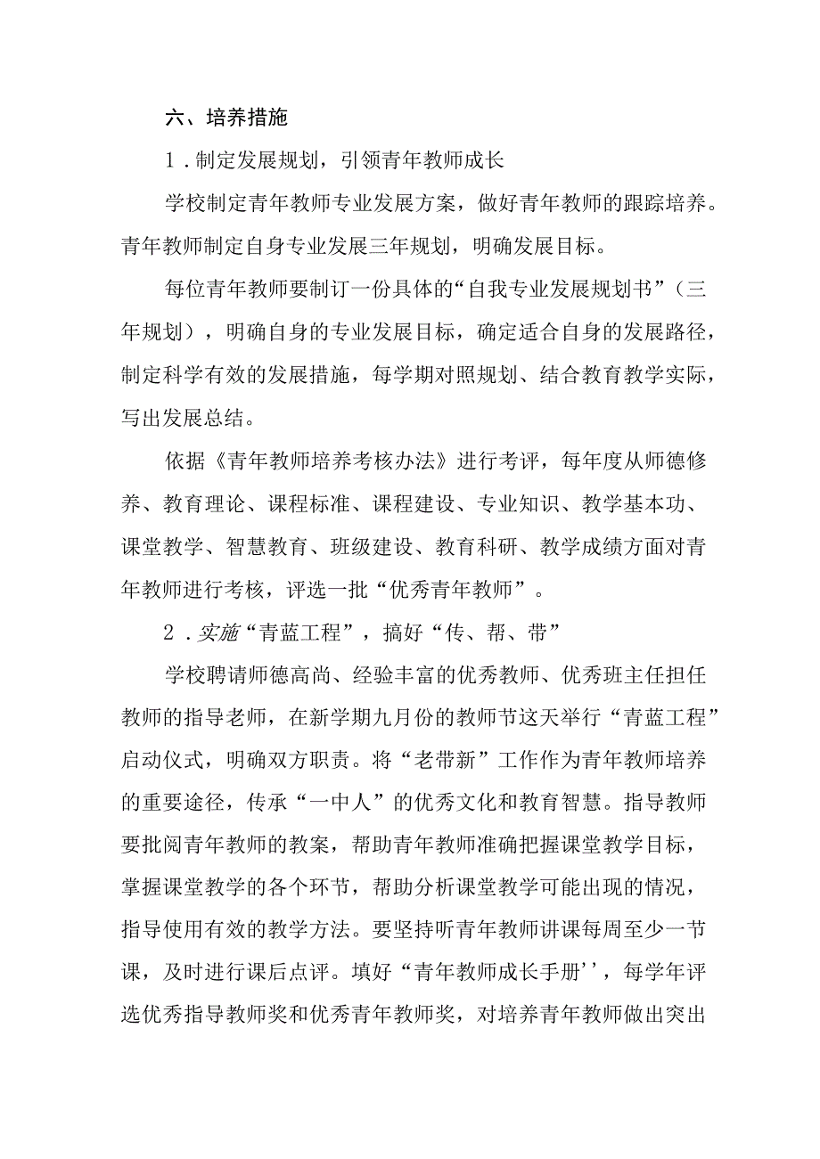 中学青年教师培养方案（2024年）.docx_第3页