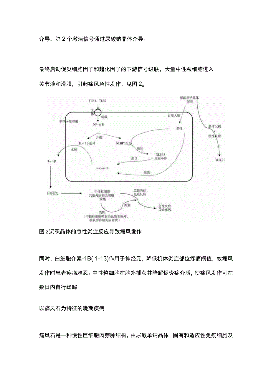 2024痛风急性发作药物选择的治疗.docx_第3页