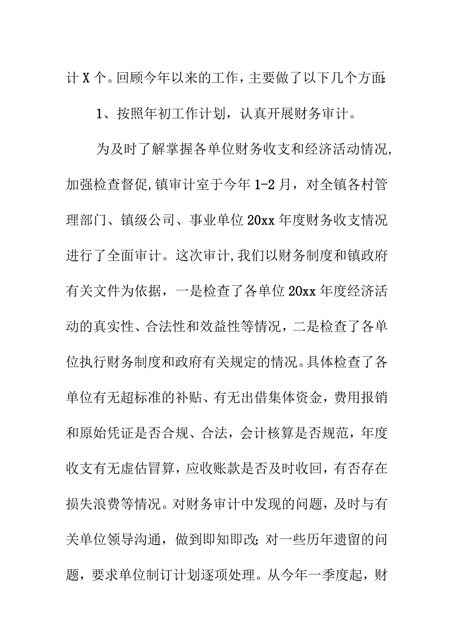 乡镇内部审计工作总结模板.docx_第2页