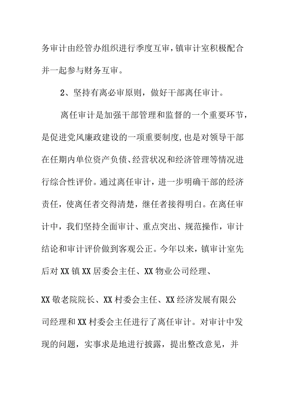 乡镇内部审计工作总结模板.docx_第3页