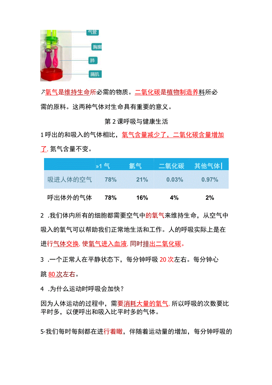 教科版四年级科学上册-第二单元《呼吸与消化》知识点.docx_第2页