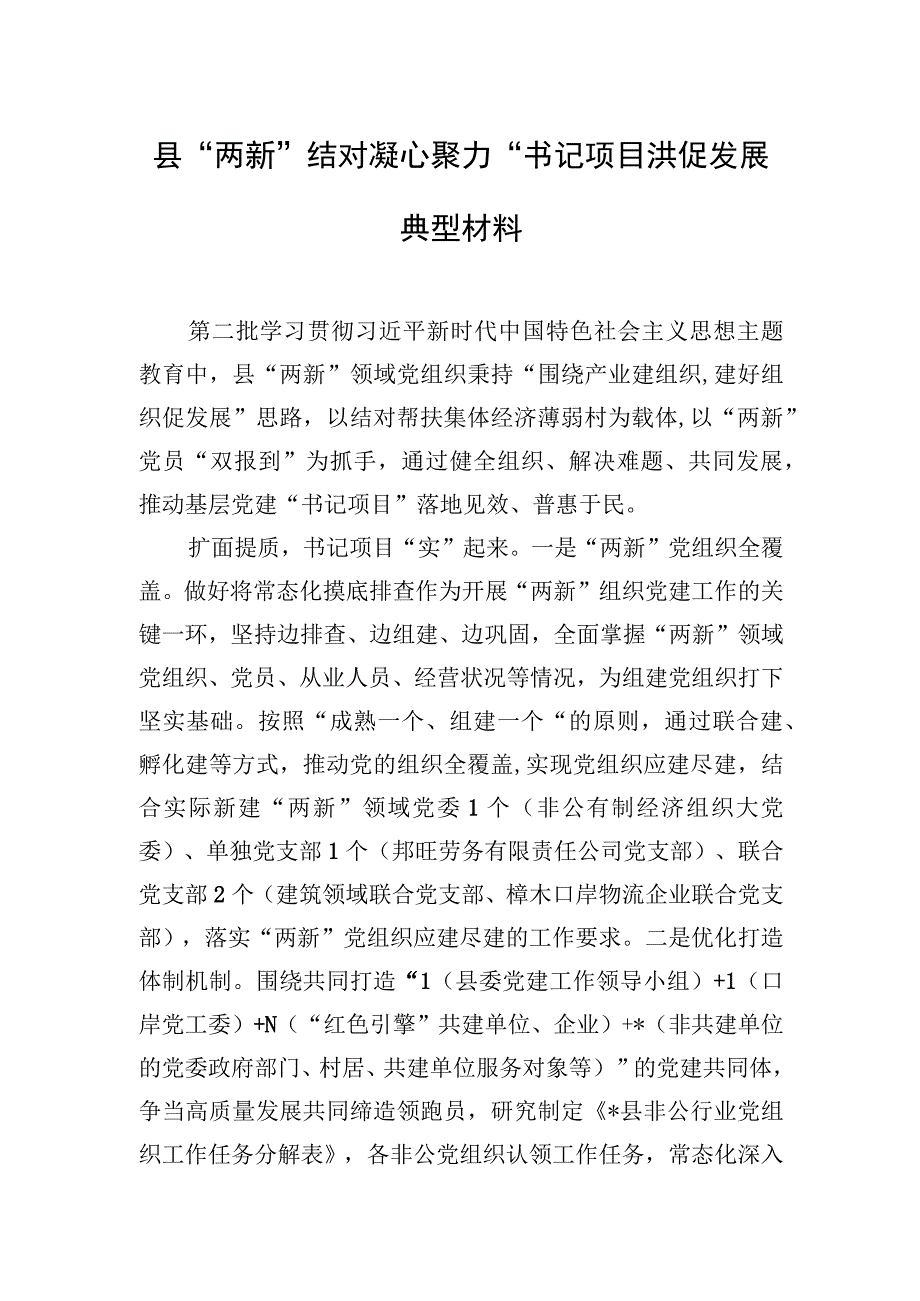 县“两新”结对凝心聚力 “书记项目”共促发展典型材料.docx_第1页