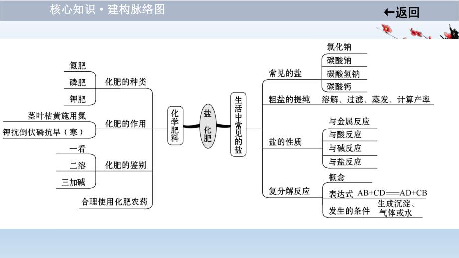 2021届中考化学大一轮单元总复习 第十一单元　盐　化肥 课件.ppt_第3页