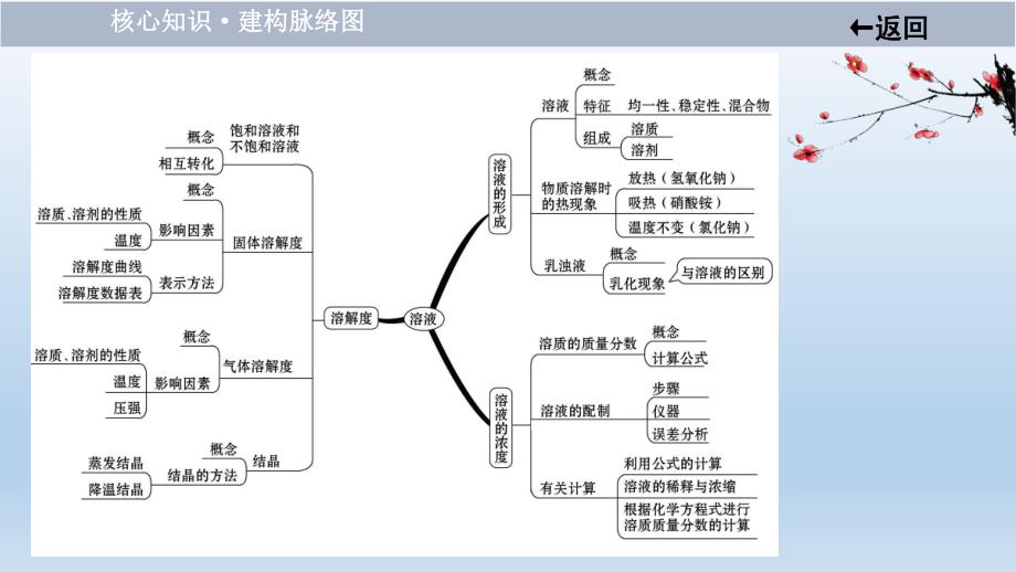 2021届中考化学大一轮单元总复习 第九单元　溶液 课件.ppt_第3页