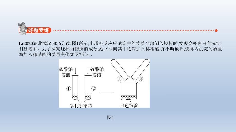 19专题十九　科学探究题 课件 2021年中考化学（全国）一轮复习.pptx_第2页