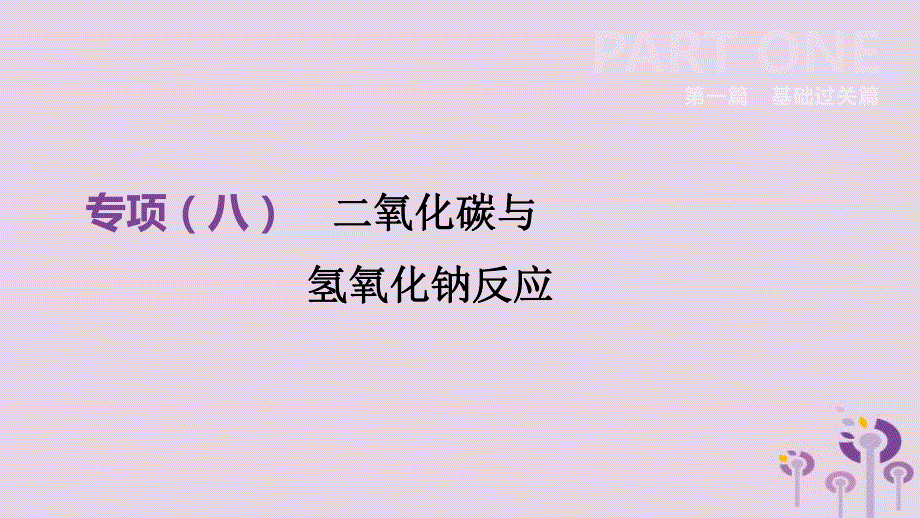 中考化学总复习第一篇基础过关篇专项08二氧化碳与氢氧化钠反应课件201902152142.pptx_第2页