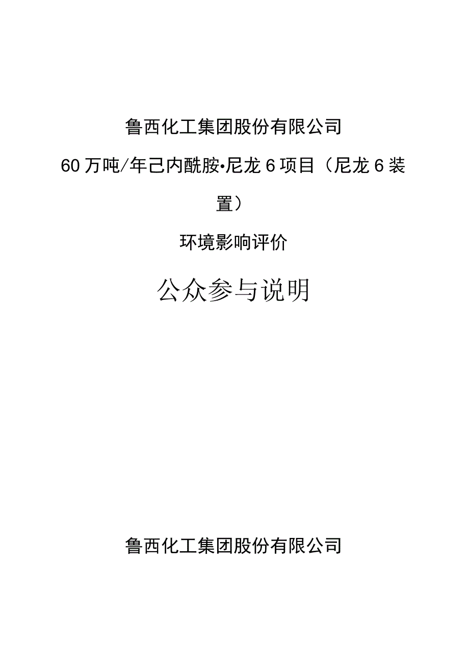 鲁西化工集团股份有限公司60万吨年己内酰胺尼龙6项目尼龙6装置环境影响评价公众参与说明.docx_第1页