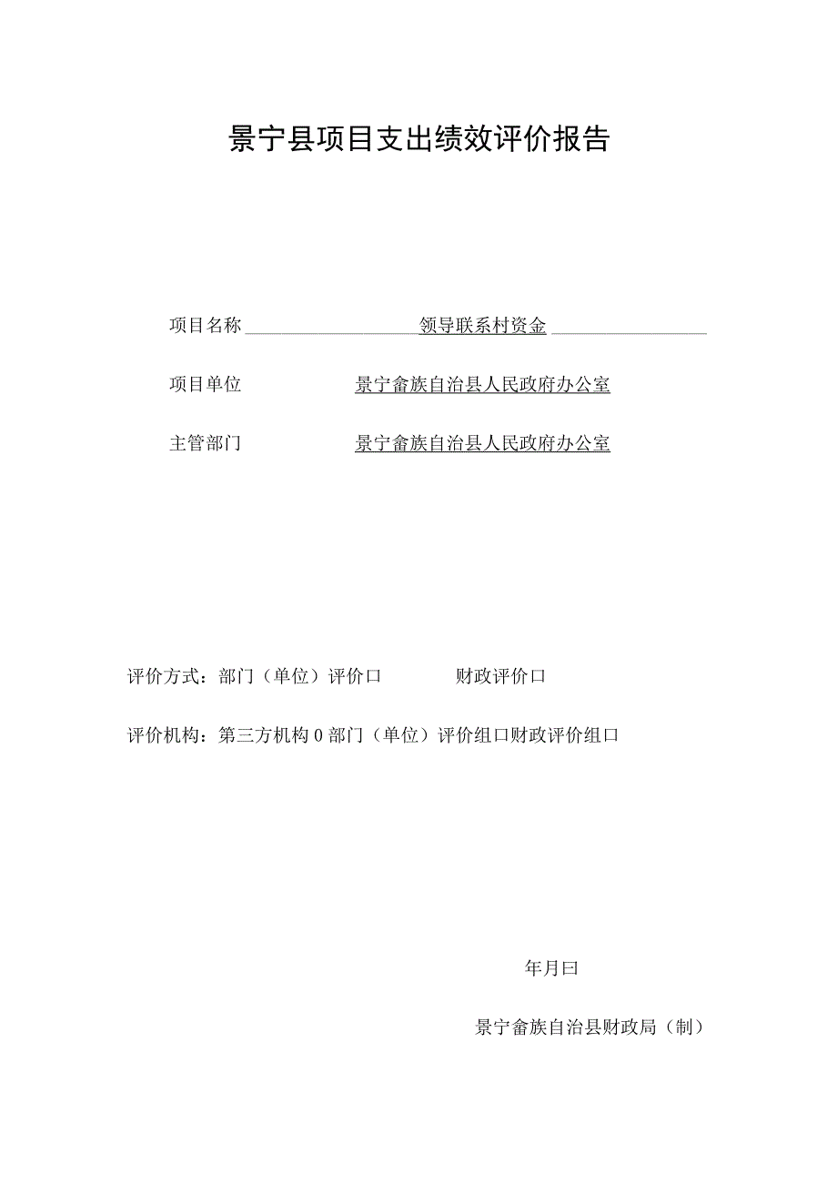 领导联系村资金项目绩效评价报告.docx_第3页