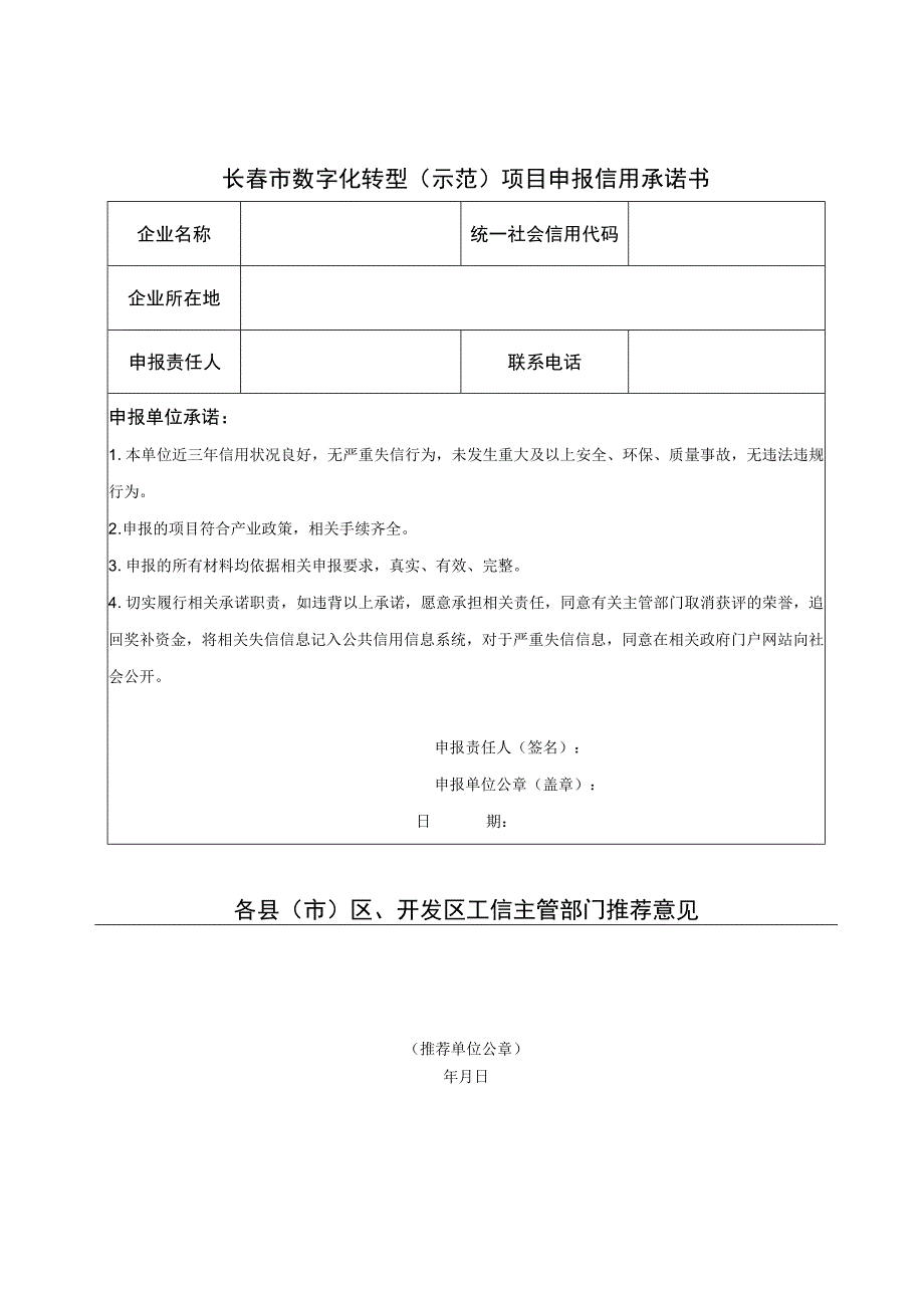 长春市数字化转型示范项目申报书.docx_第2页