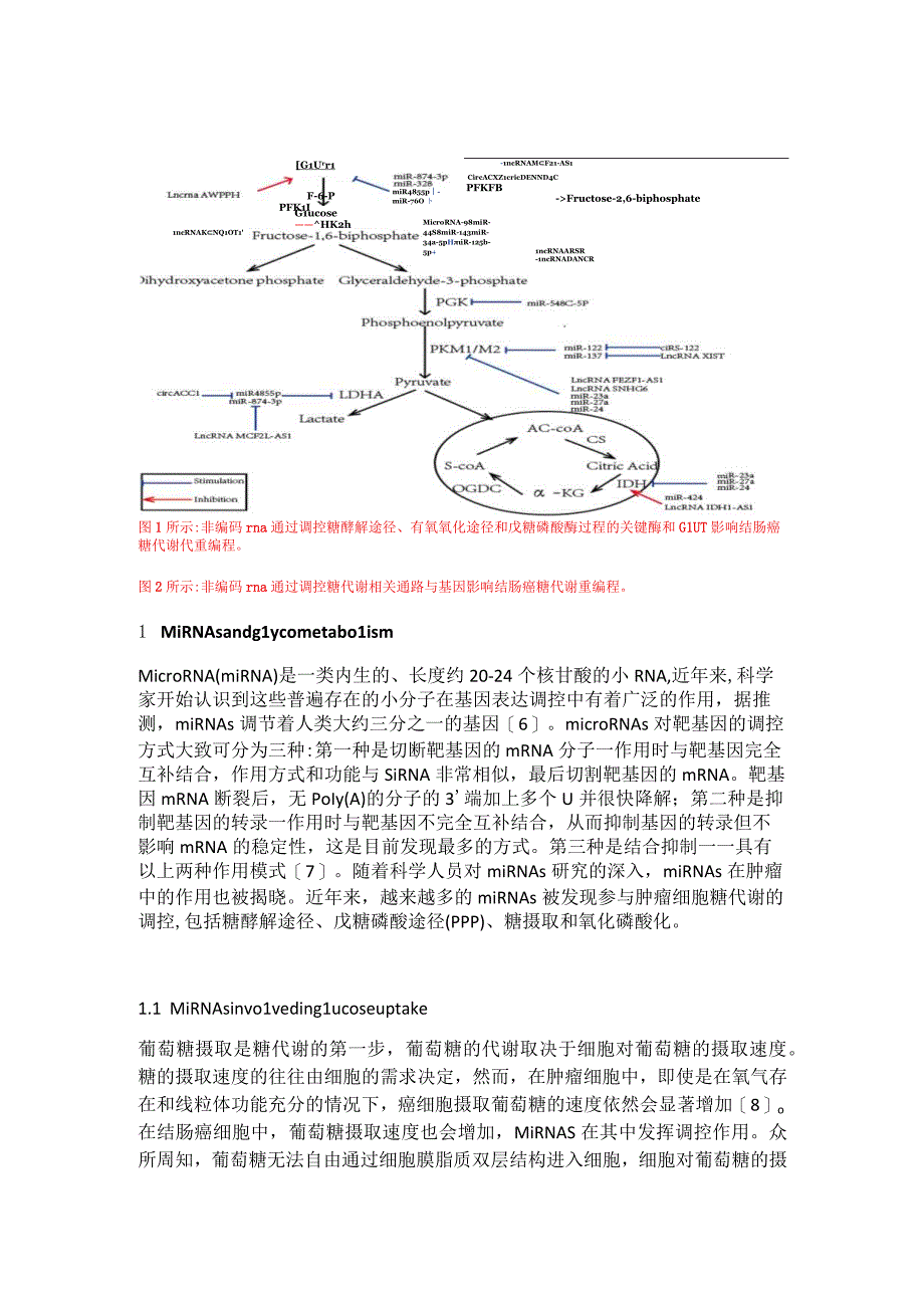 非编码RNA在结肠癌糖代谢重编程中的作用.docx_第3页