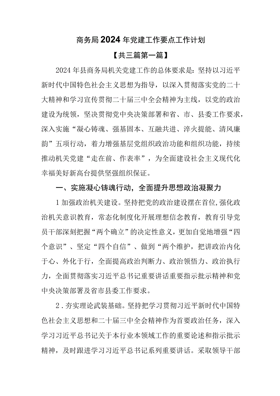 （3篇）商务局2024年党建工作要点工作计划.docx_第1页