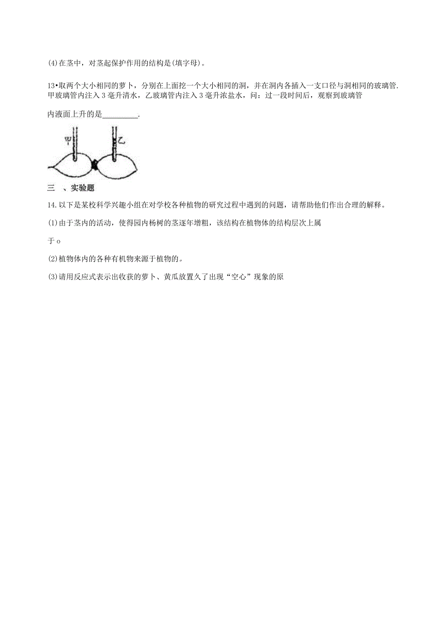 4.4植物的茎与物质运输 同步练习（含解析） (1).docx_第3页