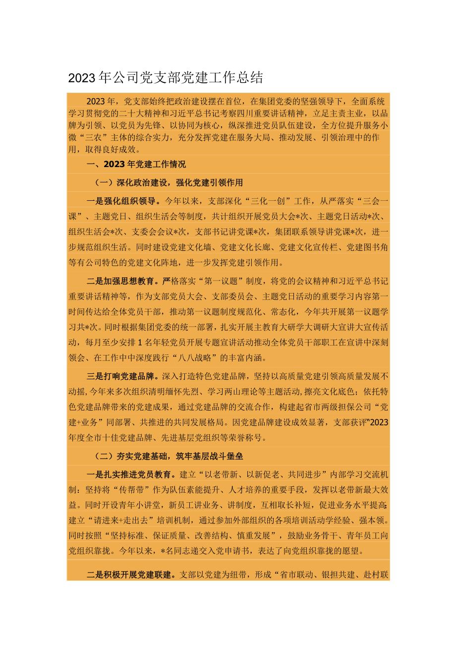 2023年公司党支部党建工作总结.docx_第1页