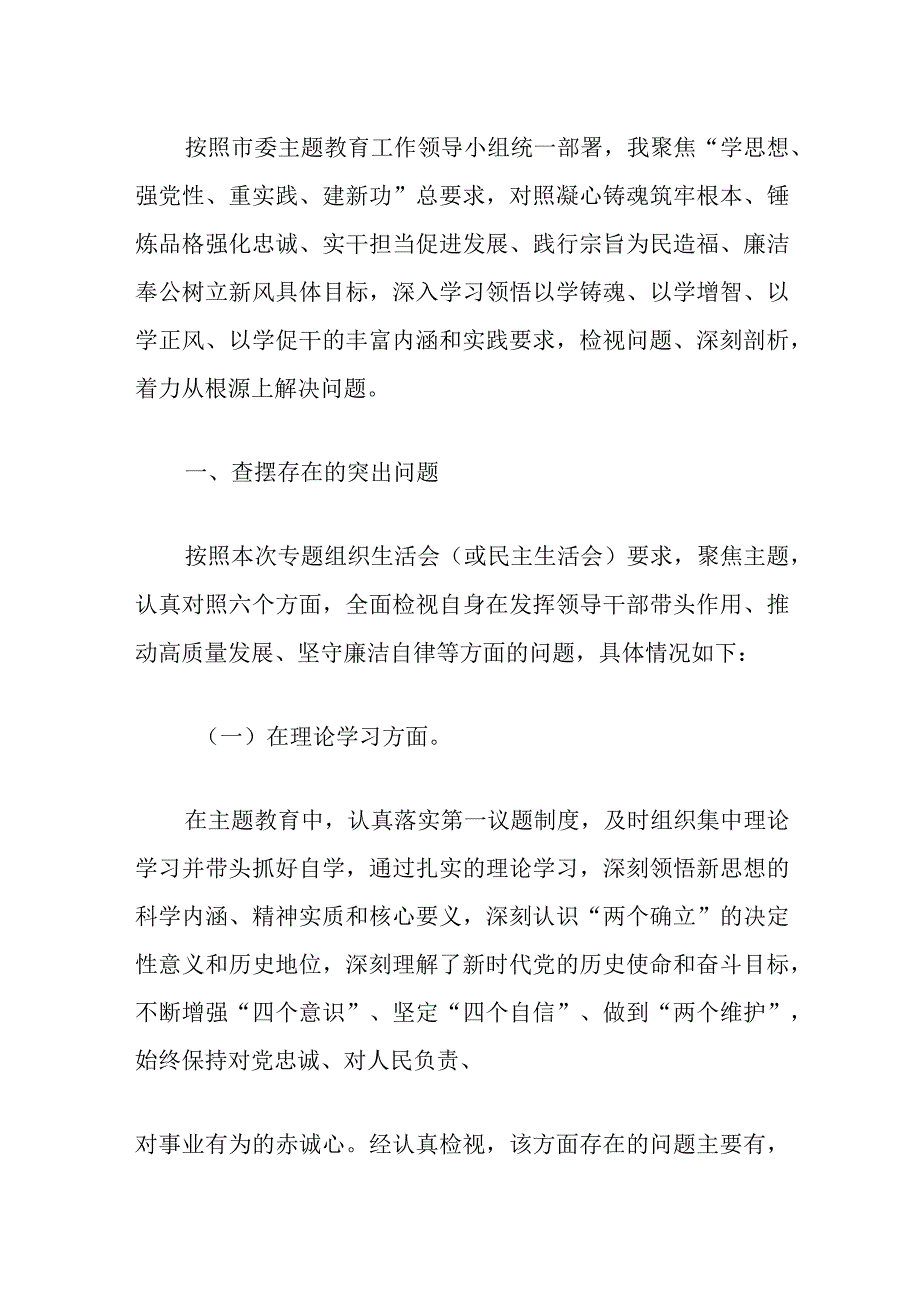 2024年主题教育个人对照检查材料（6个方面剖析）.docx_第2页