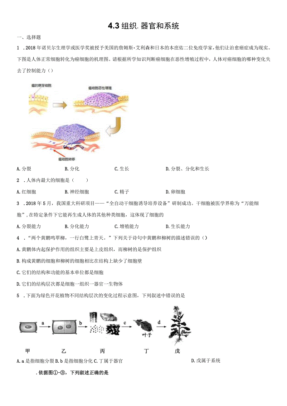 4.3组织、器官和系统 同步练习（含解析）.docx_第1页