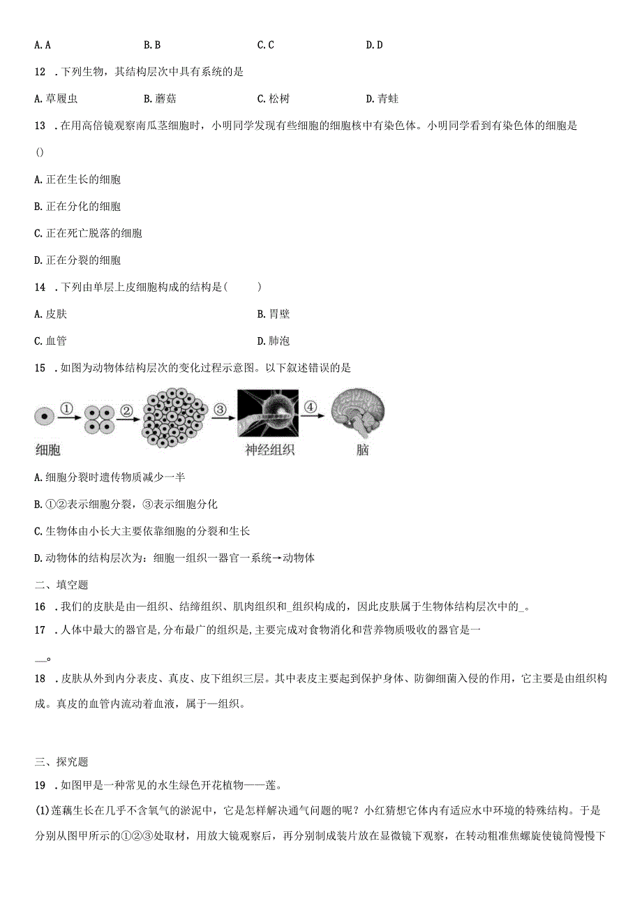 4.3组织、器官和系统 同步练习（含解析）.docx_第3页