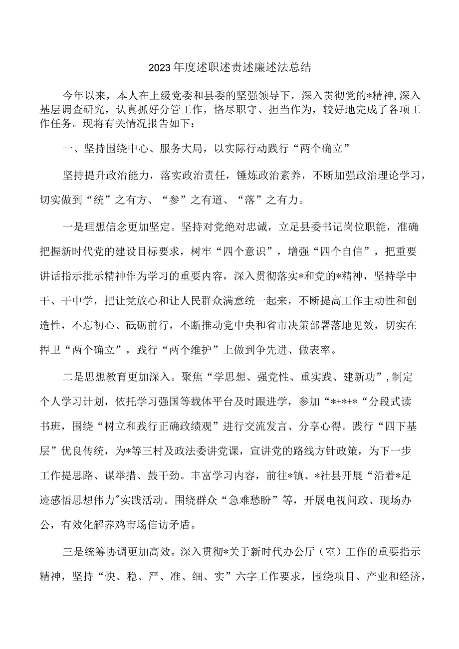 2023年度述职述责述廉述法总结.docx_第1页