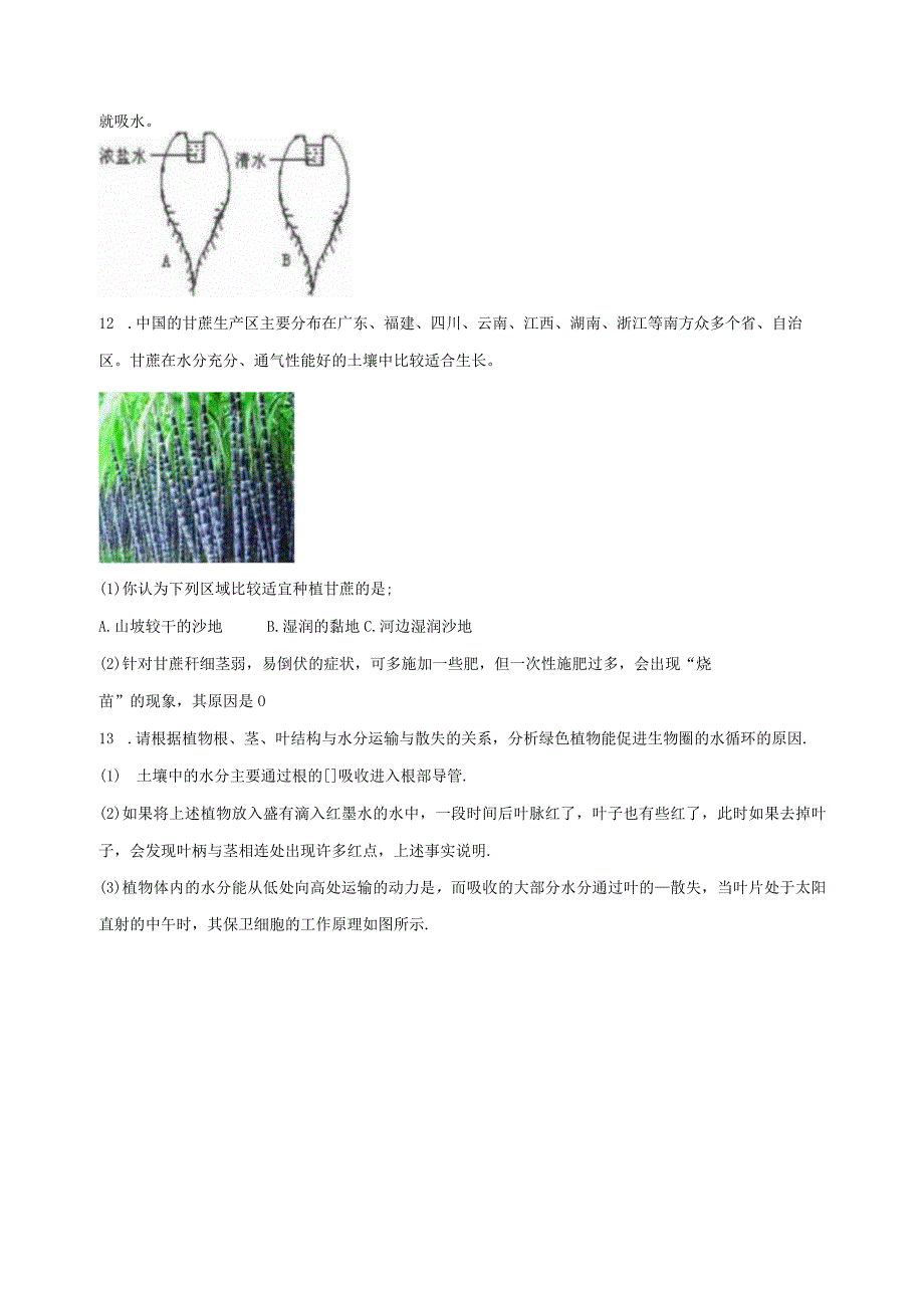 4.3植物的根与物质吸收 同步练习（含解析） (2).docx_第3页