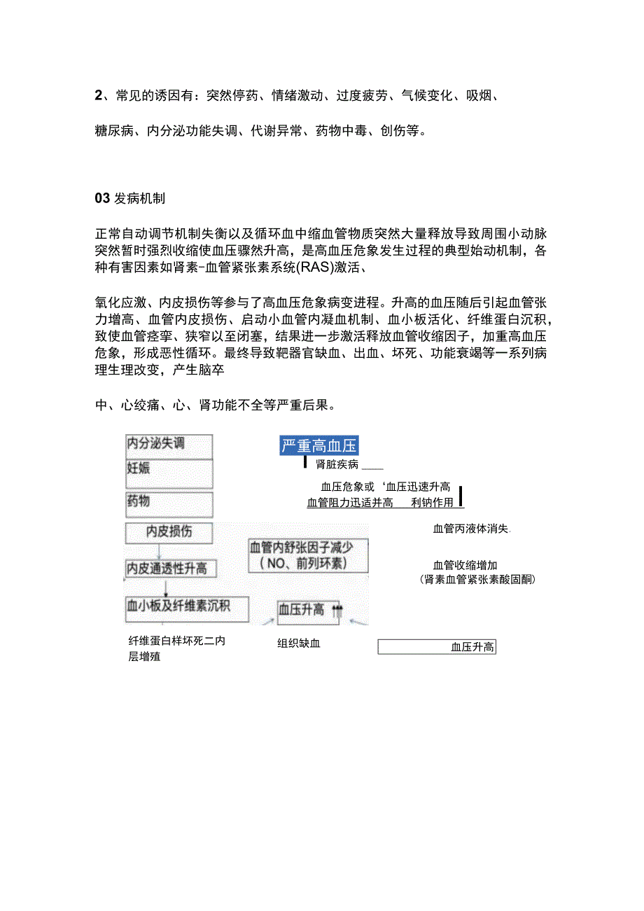 2024高血压危象的患者的紧急处理措施.docx_第2页