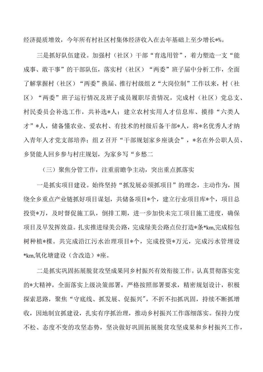 乡镇2023年度个人述职总结.docx_第2页