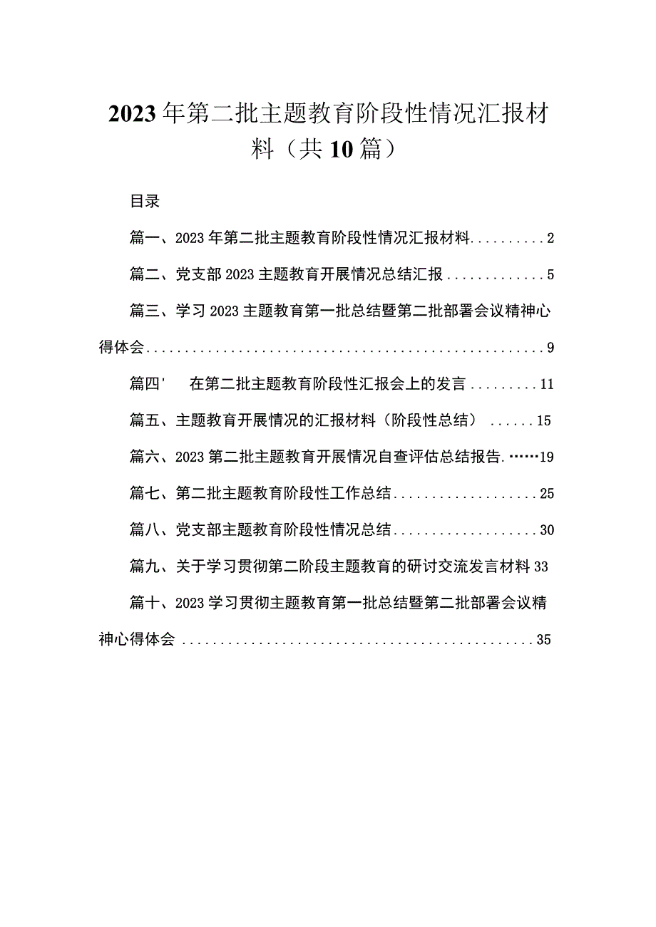 2023年第二批专题阶段性情况汇报材料（共10篇）.docx_第1页