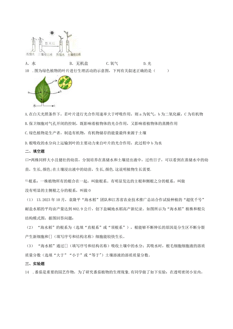 4.3植物的根与物质吸收 同步练习（含解析）.docx_第2页