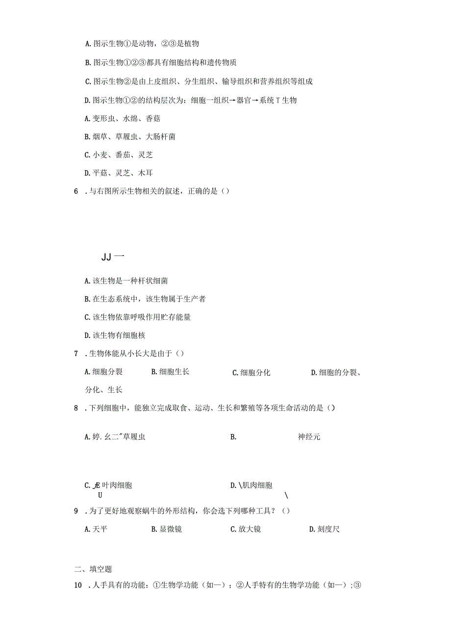 4.2 细胞 同步练习（含解析）.docx_第2页