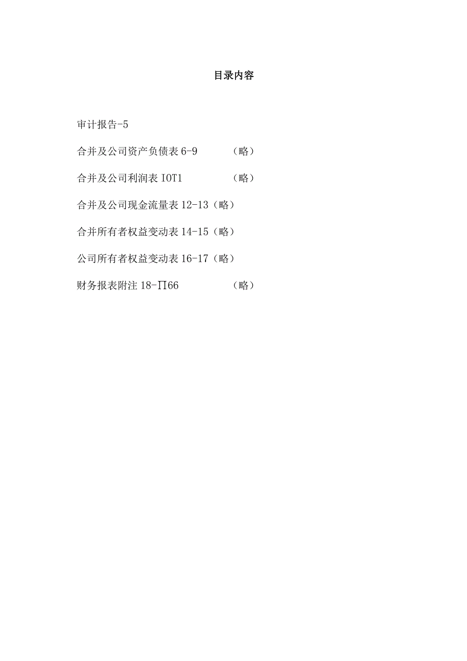 XX科技股份有限公司202X年度财务报表及审计报告.docx_第2页