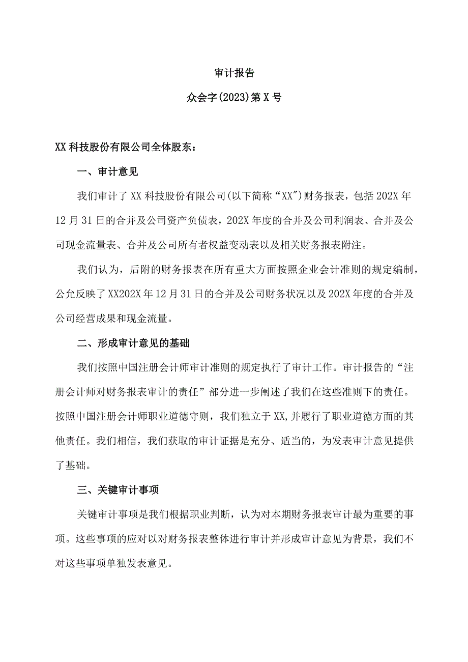 XX科技股份有限公司202X年度财务报表及审计报告.docx_第3页