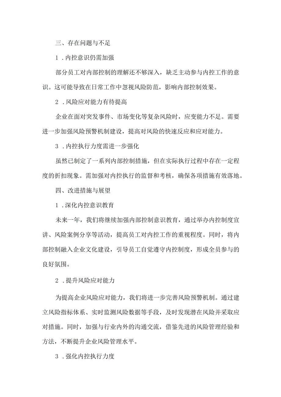 中央企业内控体系工作报告(模板).docx_第2页