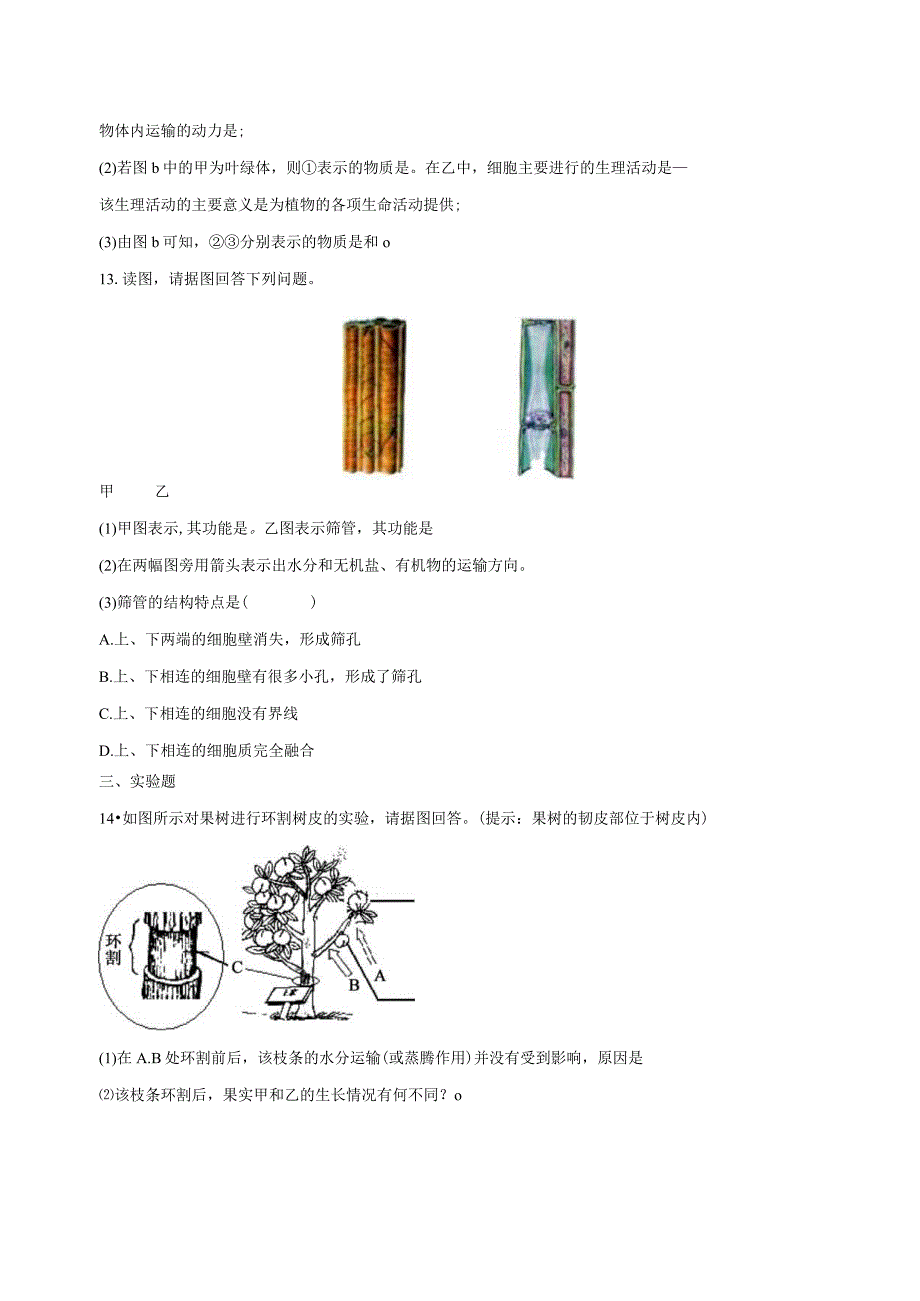 4.4植物的茎与物质运输 同步练习（含解析） (2).docx_第3页