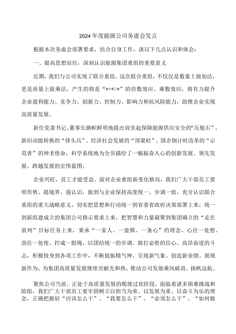 2024年度能源公司务虚会发言.docx_第1页