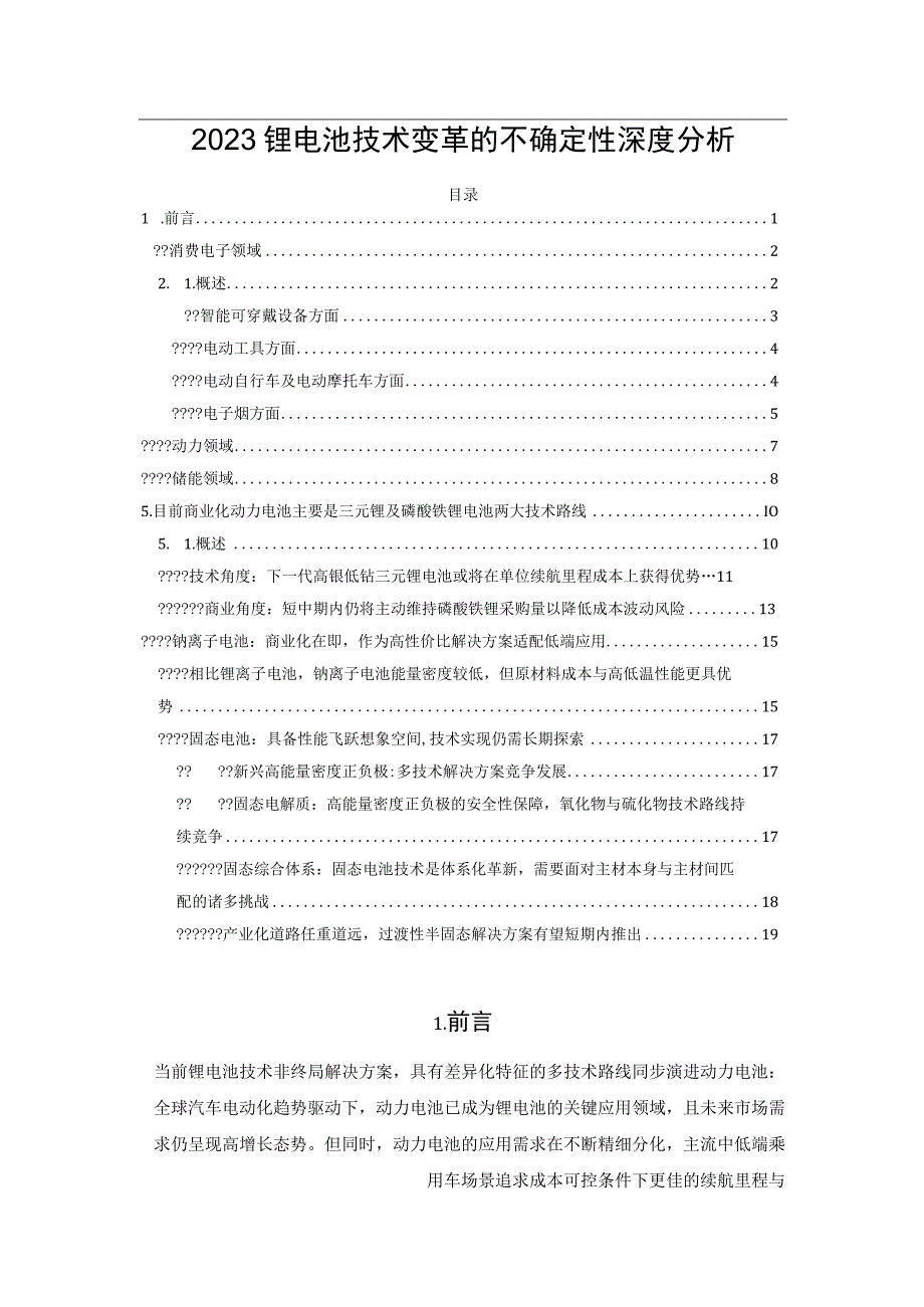 2023锂电池技术变革的不确定性深度分析.docx_第1页