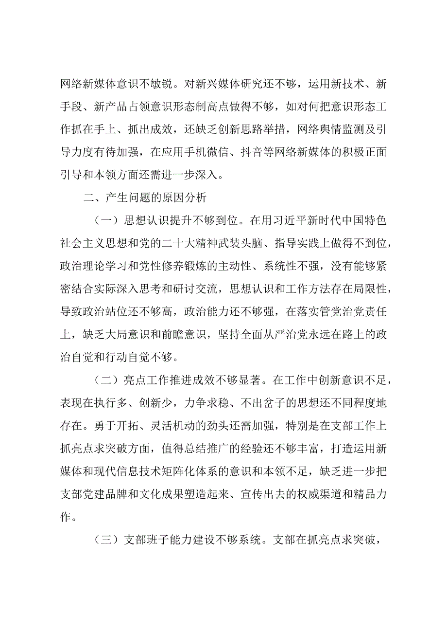 主题教育专题组织生活会问题清单（党支部+支委班子）.docx_第3页