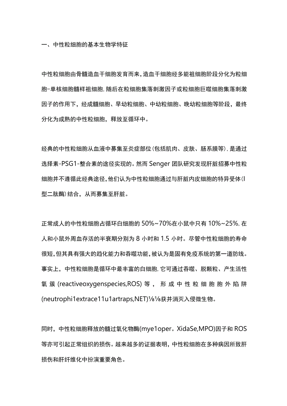 2024中性粒细胞在肝纤维化中的作用.docx_第2页