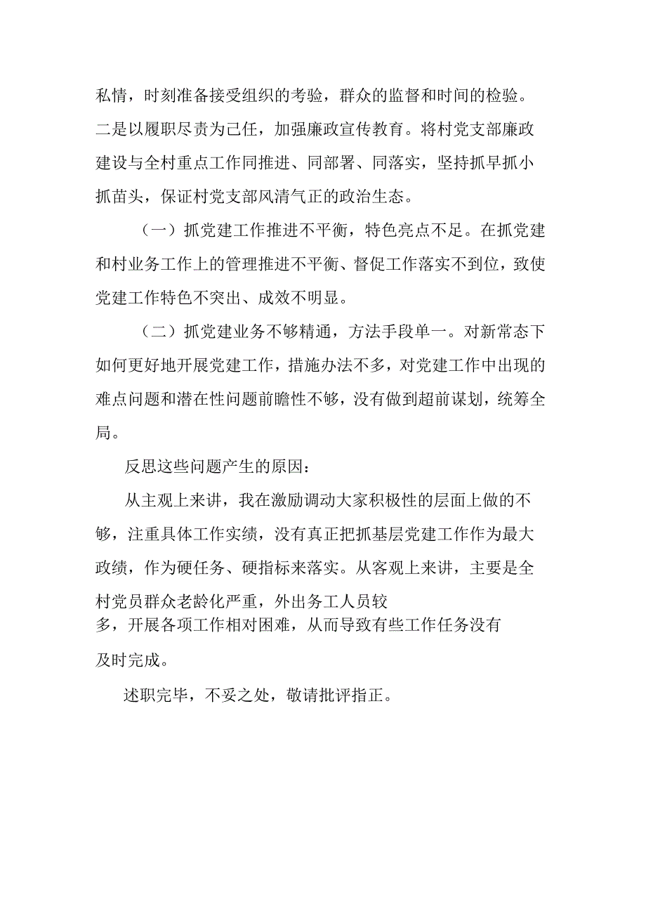 党支部书记年度述职报告.docx_第3页